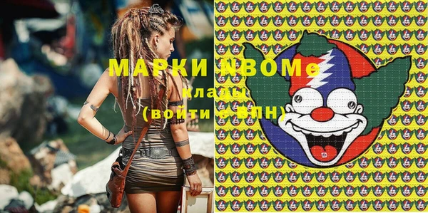 мдпв Абаза