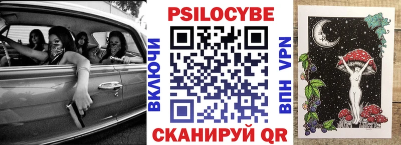 Псилоцибиновые грибы Psilocybine cubensis  блэк спрут как зайти  Сурск 